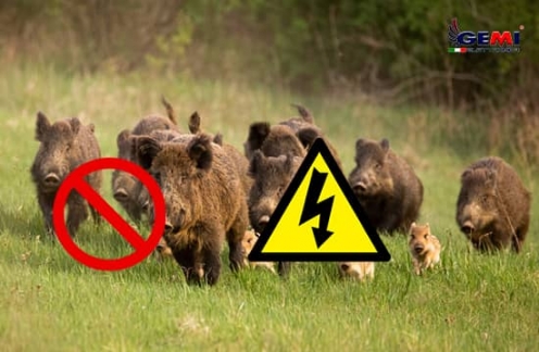 Dissuasori elettrici per animali: ecco come proteggere il tuo orto